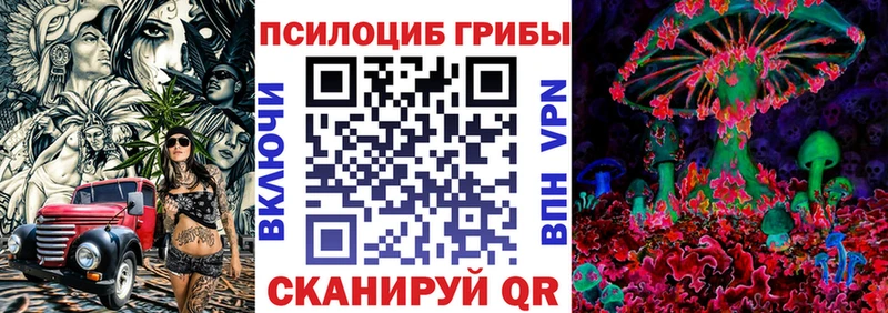 купить наркотики сайты  Челябинск  Псилоцибиновые грибы Cubensis 